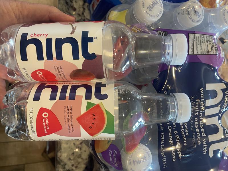 hint-water-logo-vidaefamilia-br