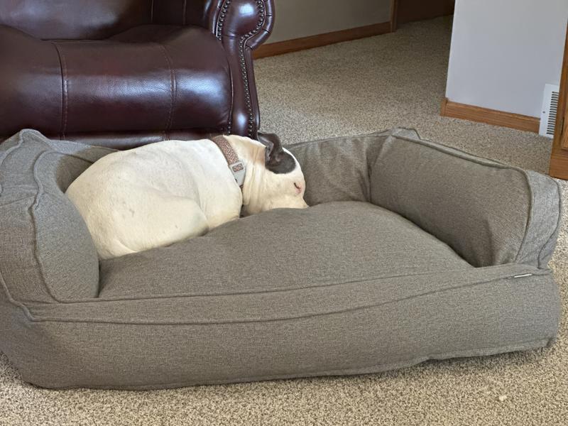 Canine creations sofa bed best sale