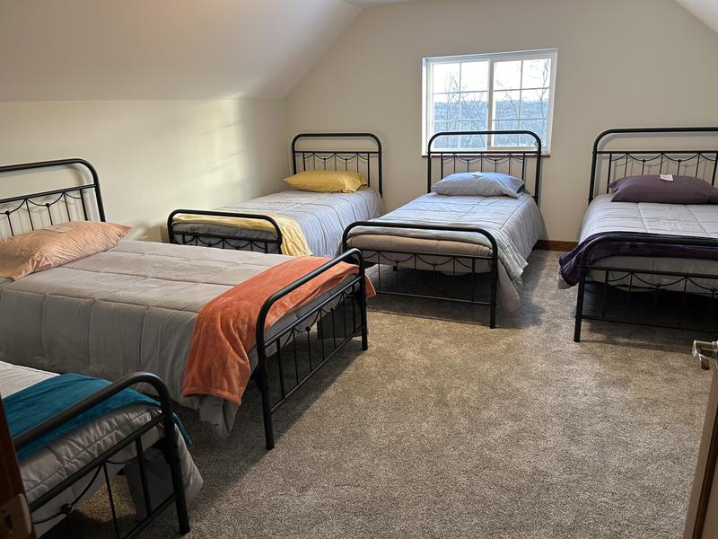 Member's mark best sale down alternative blanket