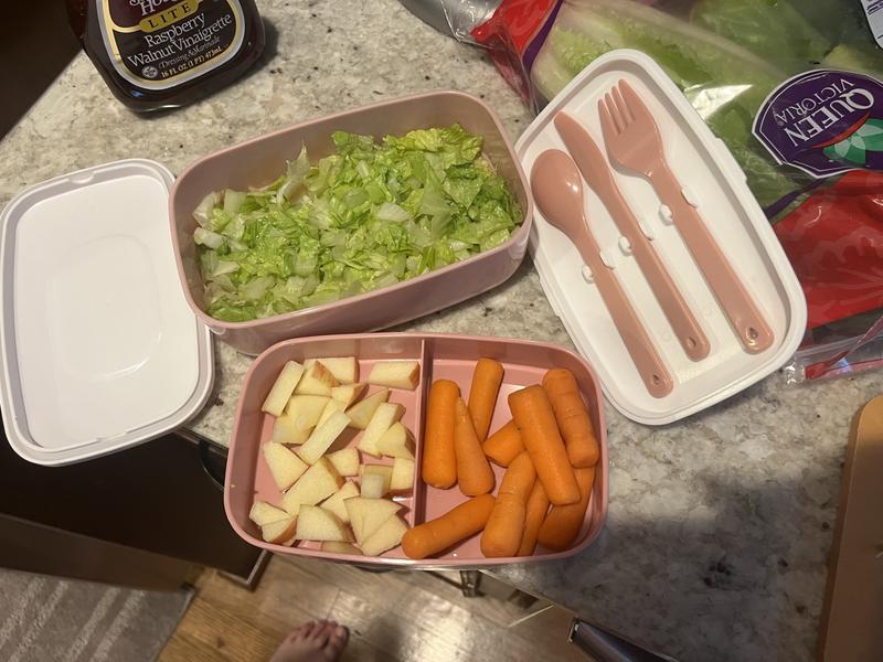 Bentgo Salad Bento Lunch Box, 2-Pack (Assorted Colors) - Sam's Club