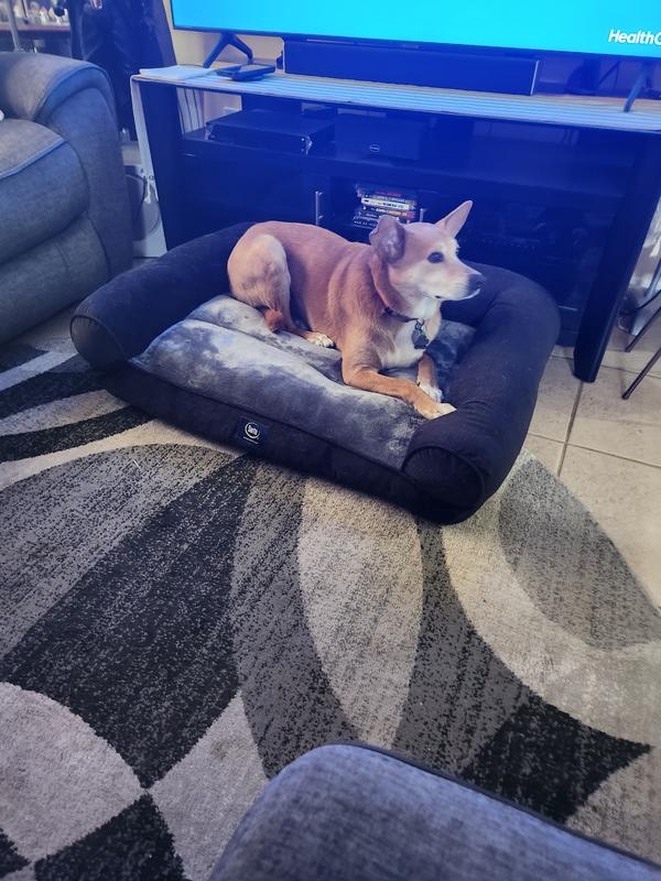 Sams club outlet serta dog bed