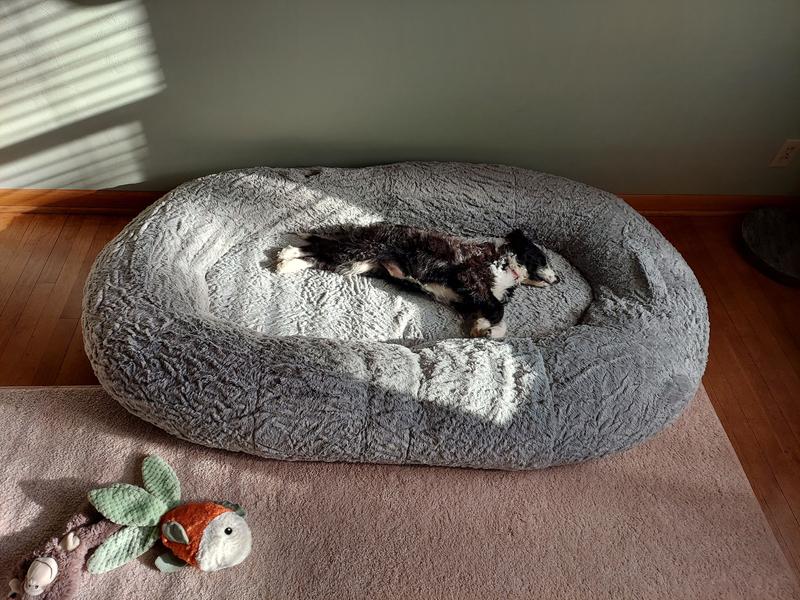 Sam's club dog beds in outlet store