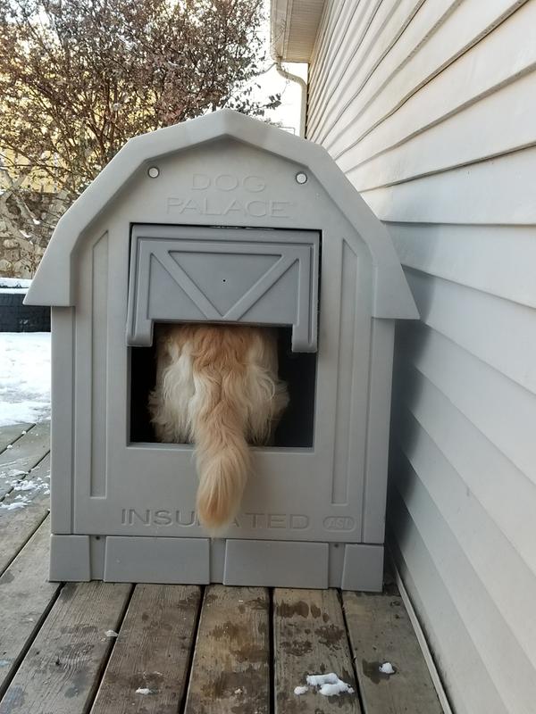 asl insulated dog house