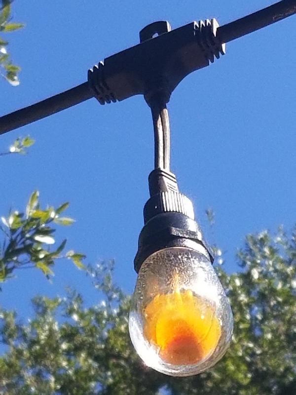 Honeywell 36 Commercial Grade LED Indoor Outdoor String Lights