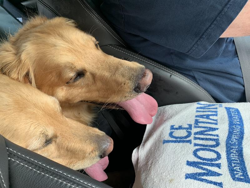 Sam's Club Chicken Jerky Dog Treats