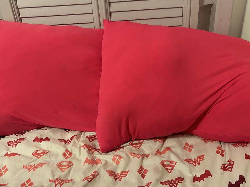 Cloud Bed Pillow 2 Pack 20 x 28