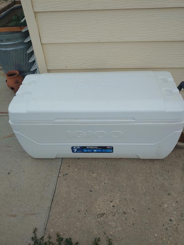 Aprender acerca 105+ imagen sam's club cooler Abzlocal.mx