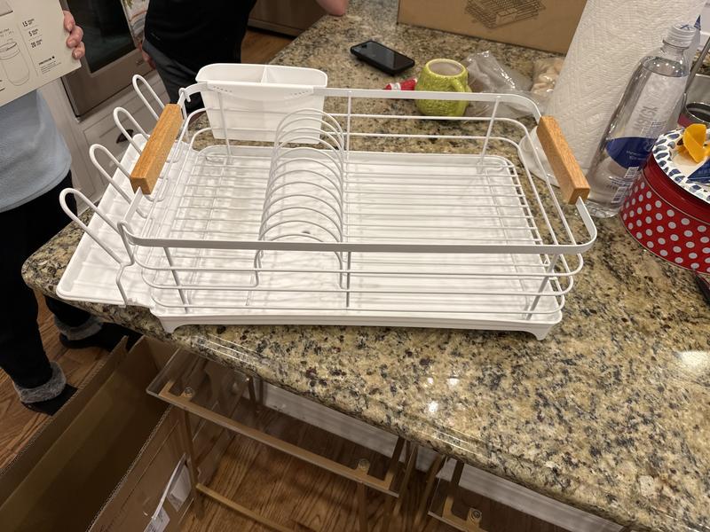 Sam's dish outlet rack