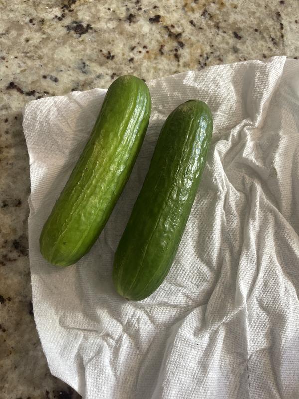 PC Mini Cucumbers