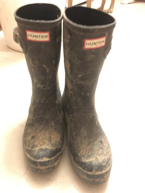 Hunter Women s Original Short Matte Rain Boots Sam s Club