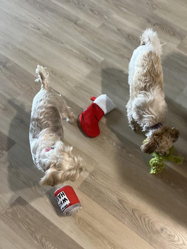 BARK's Grinch Dog Toy Collection Now Available At Petsmart - BARK Post