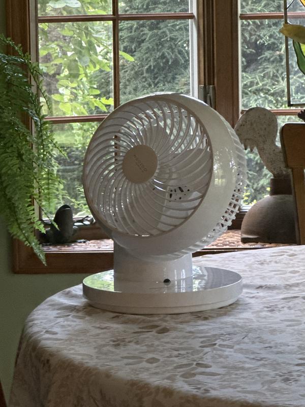 Woozoo 360 Degree Oscillating Personal Fan, White - Sam's Club