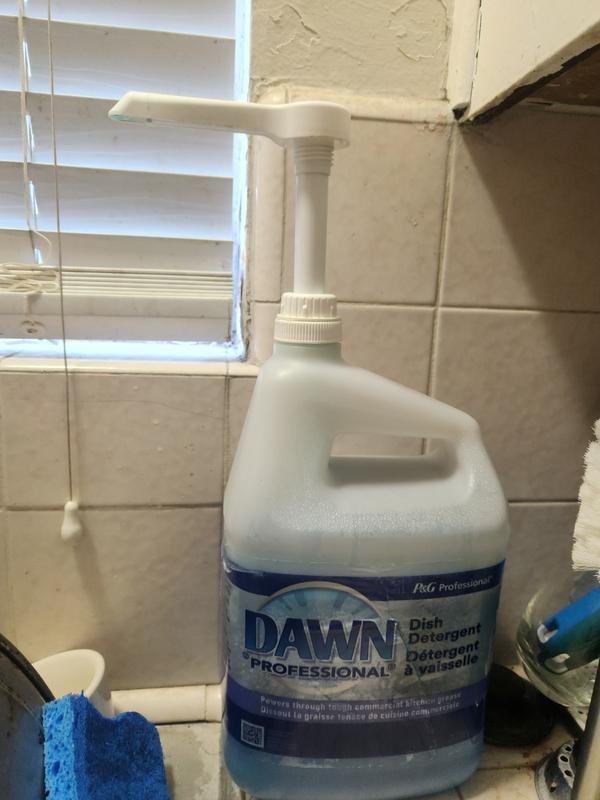 Dawn Professional Manual Pot and Pan Detergent Dish Soap, 1 gal. (Choose  Your Scent) - Sam's Club