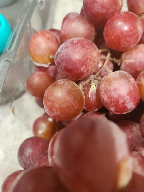 Grapes Red Seedless Per Lb - Holy Land Grocery