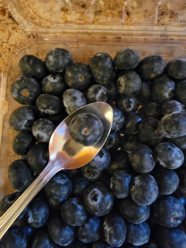 Jumbo Blueberries (16 oz.) - Sam's Club