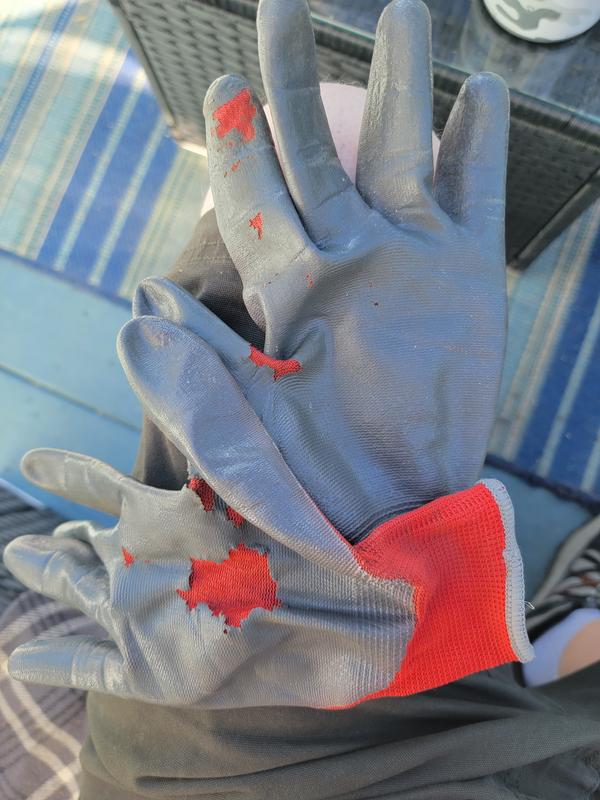2 Pack of Grease Monkey Nitrile-Coated Work Gloves (15 pk.)