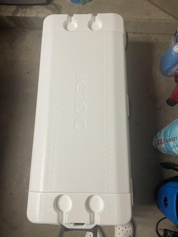 Igloo Marine Cooler, 150-qt