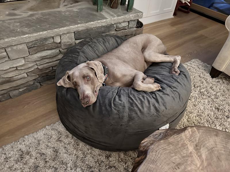 Sam's club best sale bean bag chair