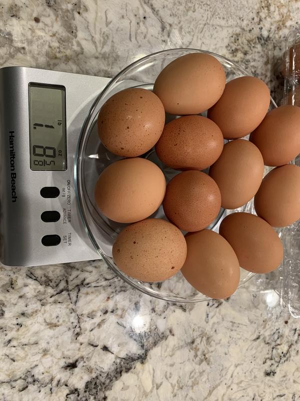 Save on Nellie's Grade A Brown Eggs Large Free Range All Natural Order  Online Delivery