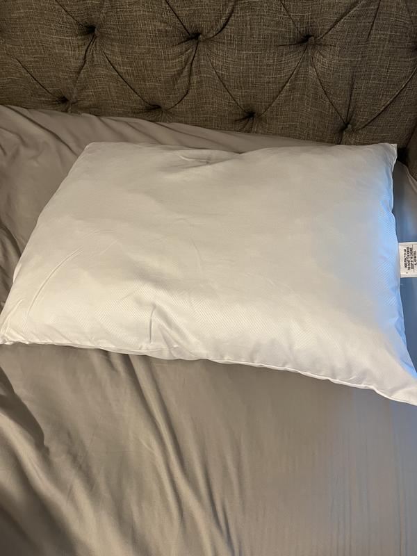 Sam's club serta outlet pillows