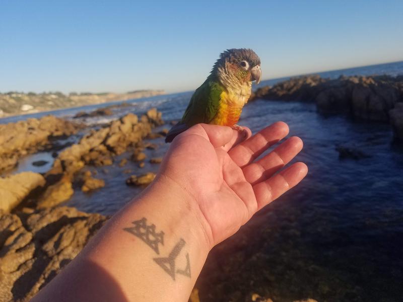 Review image send by user