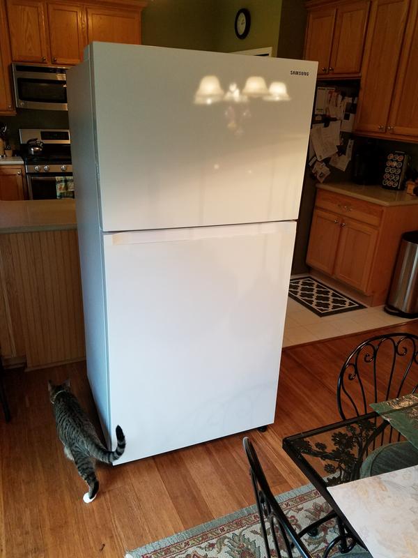 Samsung RT21M6213SR top freezer refrigerator review: Simple, yet stylish -  CNET