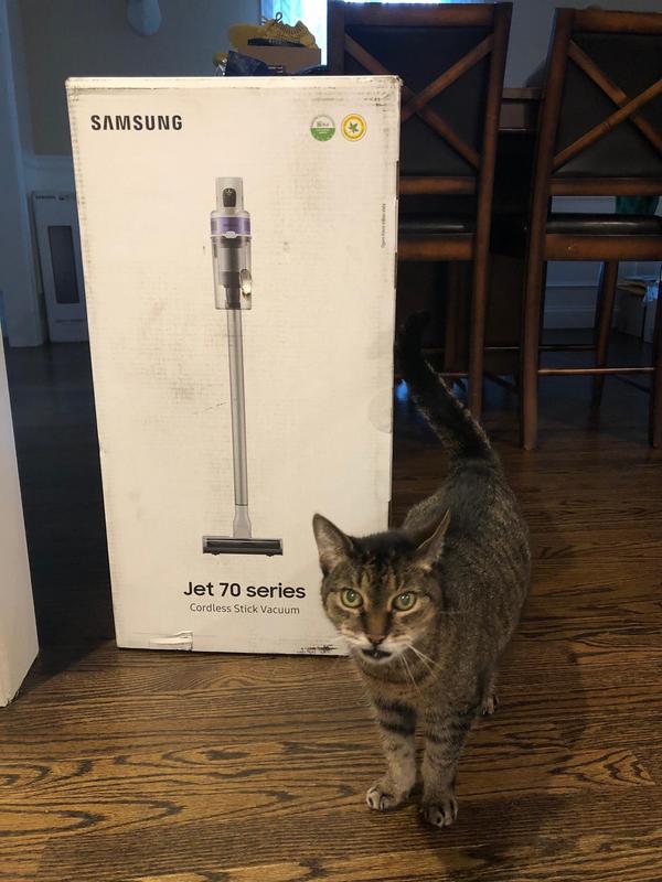 Samsung jet 70 pet stick online review