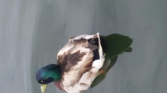 Customer photo 2 of 2. Click to open full size image.