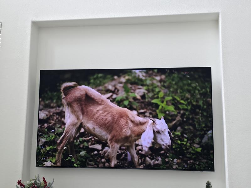 Review image send by user