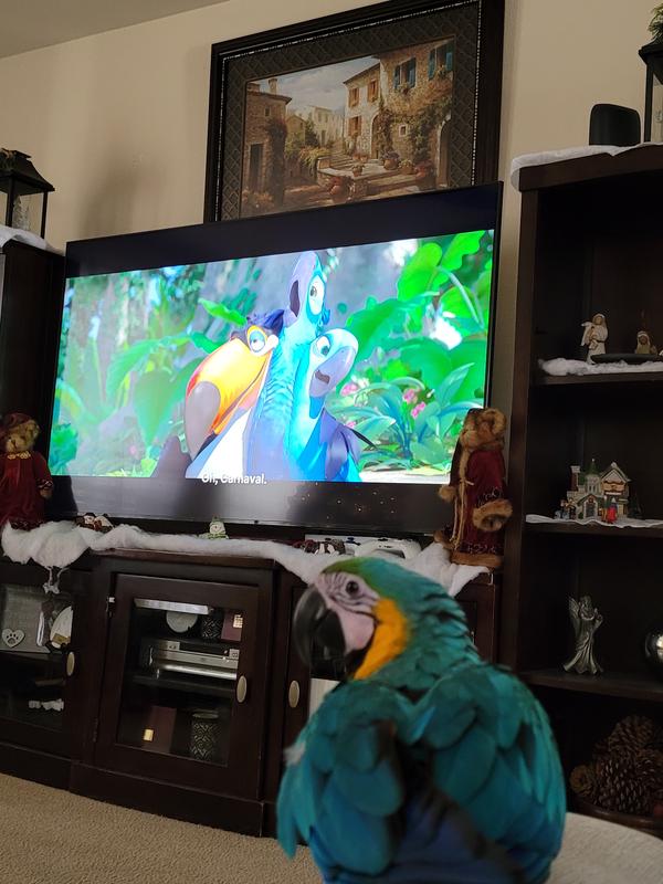 Review image send by user