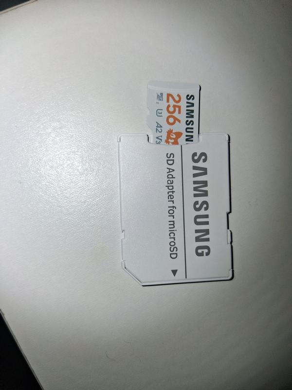 Customer carousel item 12.