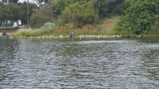 Customer photo 1 of 2. Click to open full size image.