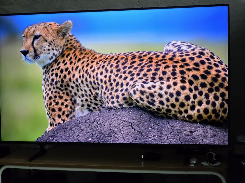 BED-H Series 4K | Samsung Business