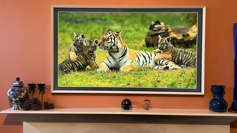 Samsung The Frame Qled 4k Smart Tv 55 In Fred Meyer