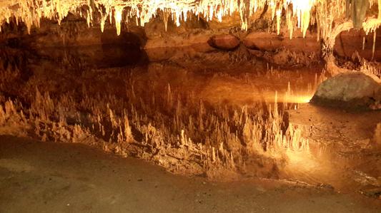 Customer photo 1 of 2. Click to open full size image.