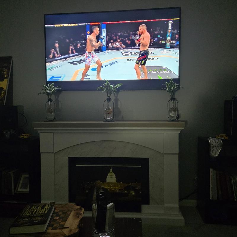 Great color and graphics!