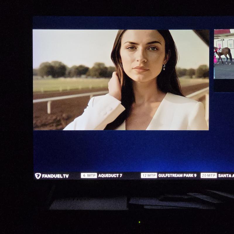 Enjoying thoroughbred racing