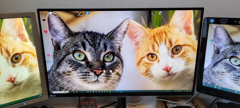 ViewFinity S8UP UHD Monitor 27 Zoll | Samsung Business DE