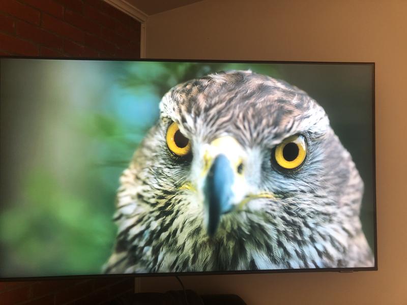 National Geographic Channel