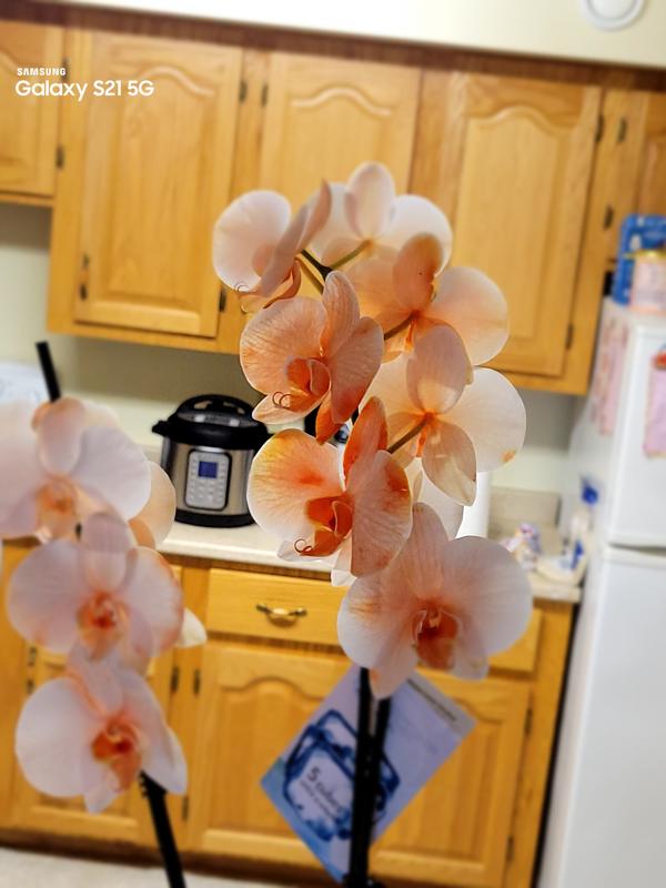 Customer photo 1 of 1. Click to open full size image.