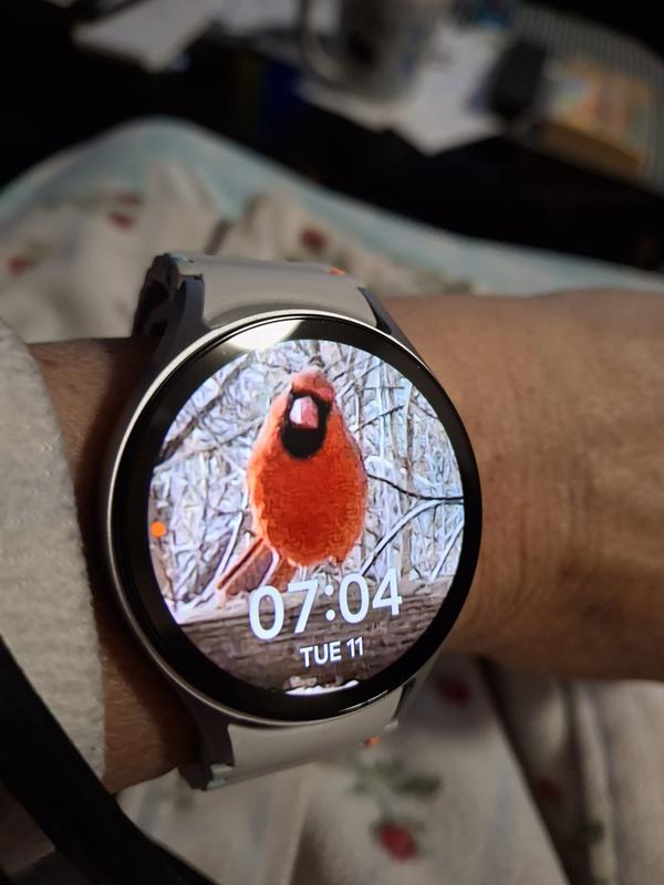 Chose a Cardinal as my main screen.