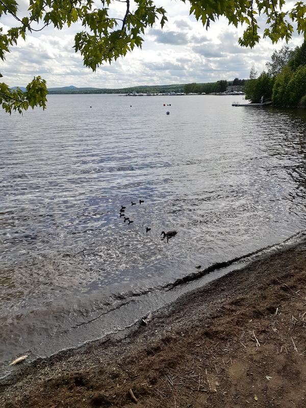 Customer photo 2 of 3. Click to open full size image.