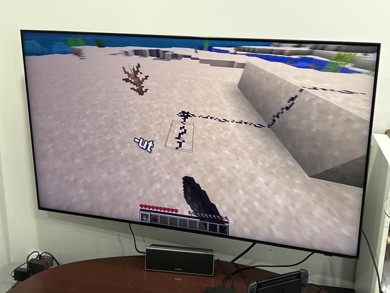 Minecraft game in YV