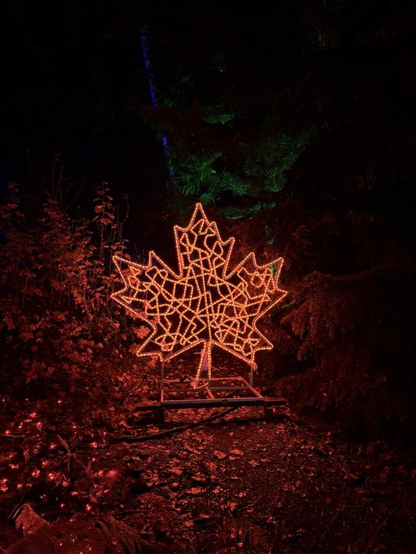 Christmas lights in Vancouver