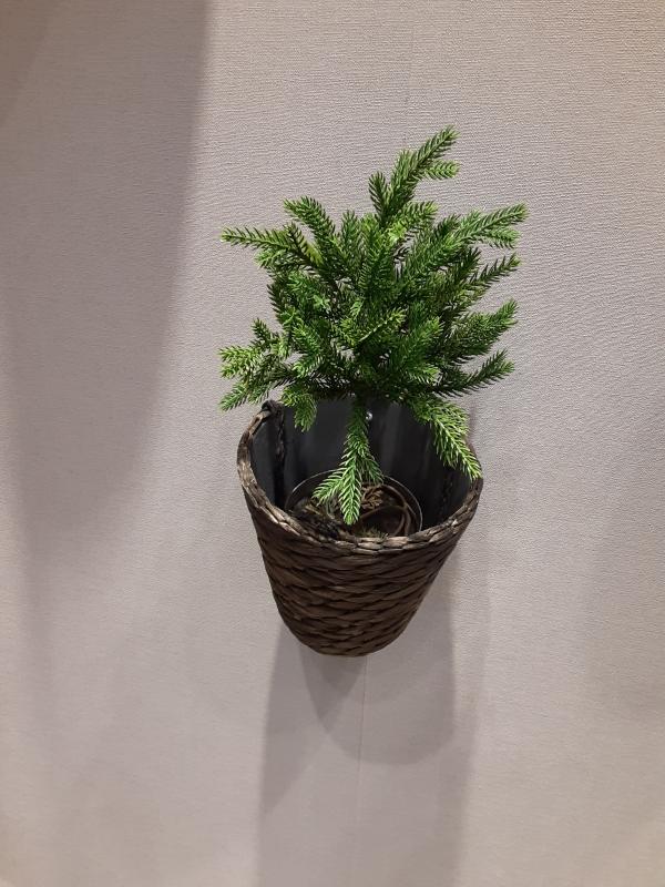 Customer photo 2 of 5. Click to open full size image.