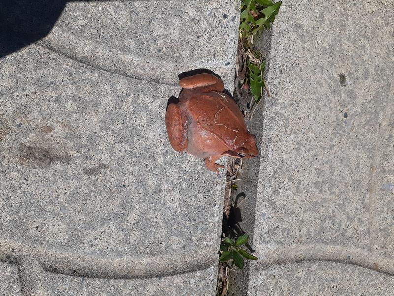 Customer photo 1 of 3. Click to open full size image.