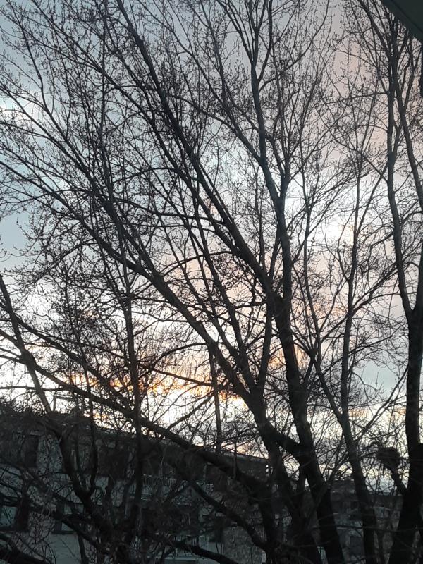 Customer photo 3 of 5. Click to open full size image.