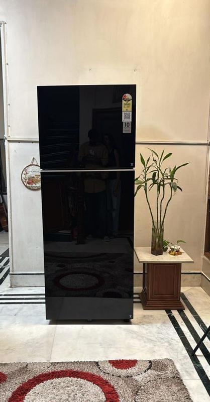 Buy 467 L Double Door Refrigerator Rt80H51C2Fhl | Samsung India