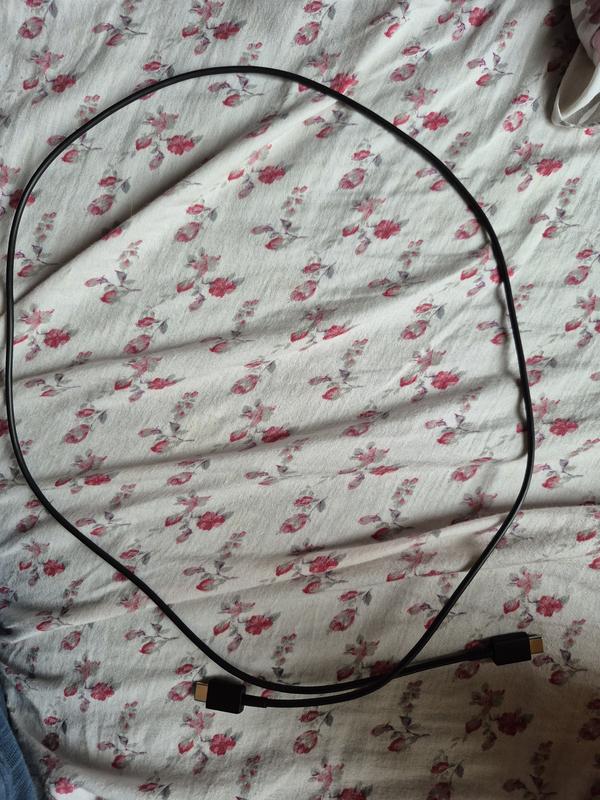 Photo - commentaire 2.