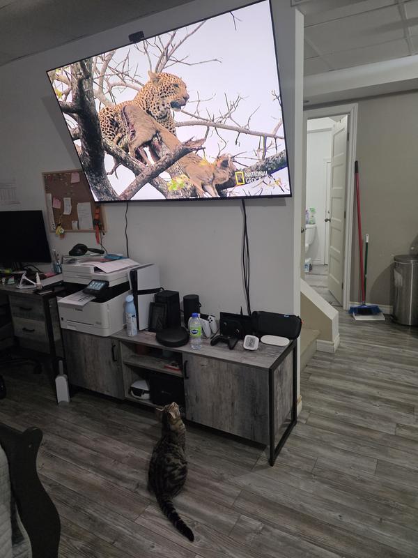 Photo du client 1 de 2. Cliquez pour ouvrir l'image pleine grandeur.